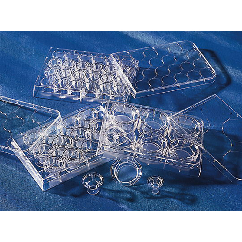 3460Transwell嵌套Corning/康宁