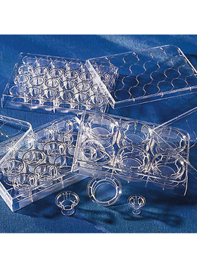 Corning/康宁3470 Transwell嵌套(带聚脂膜6.5mm 0.4um)12嵌套/块