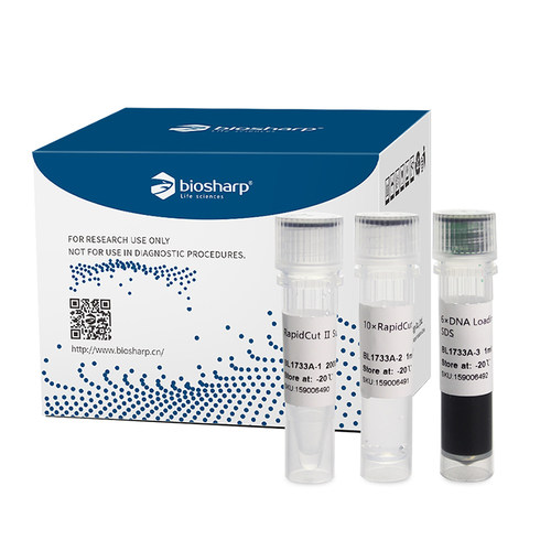 BL1733A快速限制性内切酶