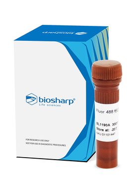 Biosharp/白鲨  Fluor 488标记鬼笔环肽（绿色）BL1190A  300T