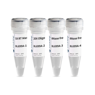Biosharp BL699A 逆转录试剂盒(含 DNA 酶) 100T