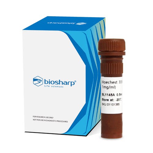 Hoechst33342细胞染色液BL1145A