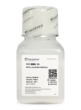 Biosharp/白鲨  BL651A   RIPA裂解液（中）100ml/瓶