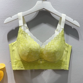 艾草植物染不空杯小胸显大聚拢AB罩杯加厚透气无钢圈无磁9829少女