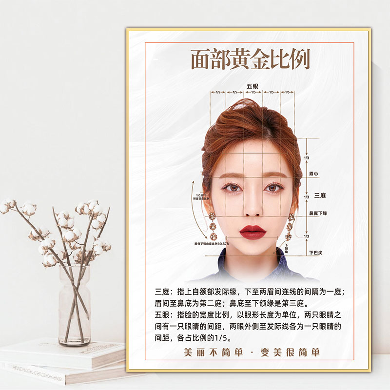 面部黄金比例三庭五眼海报挂画轻医美微整宣传装饰画脸部皮肤管理