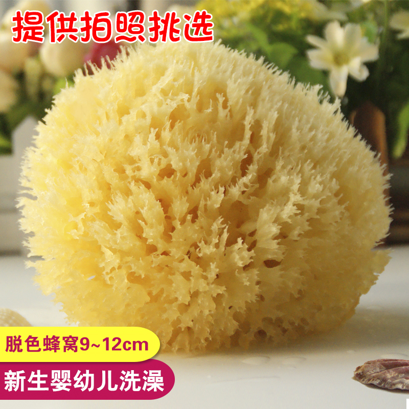 ½ø¿ÚµØÖк£Ï£À°ÌìÈ»º£Ãà10cm·äÎÑÃàË¿º£ÃàÐÂÉúÓ¤¶ù±¦±¦³ÉÈËÏ´Ôè