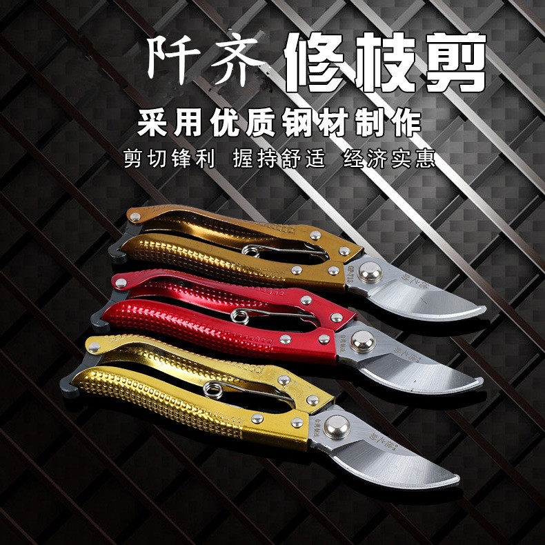 果树园艺园家用强力神器修枝剪刀图片