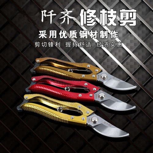 果树园艺园家用强力神器修枝剪刀