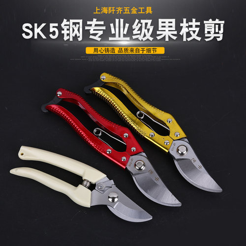 剪枝剪刀园艺剪树枝花艺省力园林