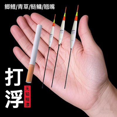 打浮专用鲫鲤青草鲢鳙翘嘴漂