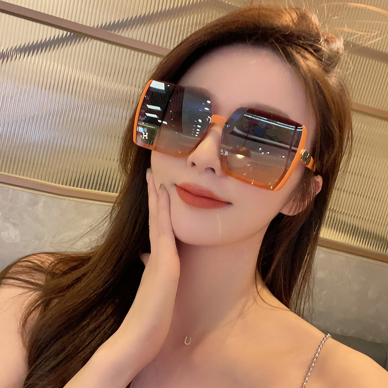 大脸2024新款墨镜防紫外线高级感