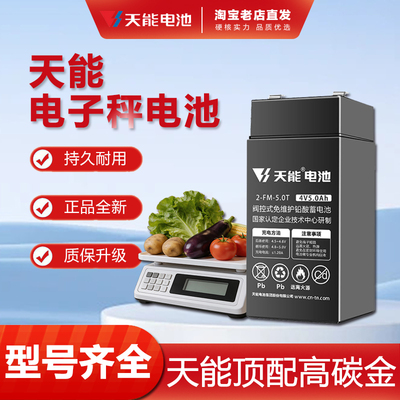 天能电子秤台秤专用电池4v4电瓶