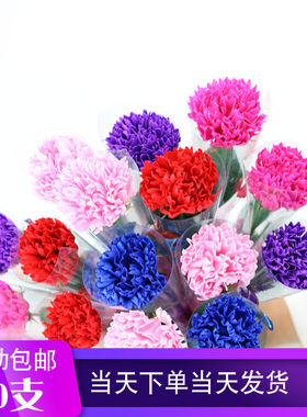 母亲节康乃馨促销小礼物玫瑰花