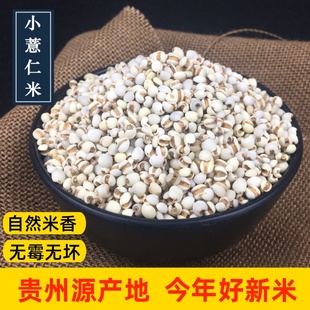 薏米贵州小薏米仁薏仁米糯薏米农家杂粮新货 小薏仁米1000g