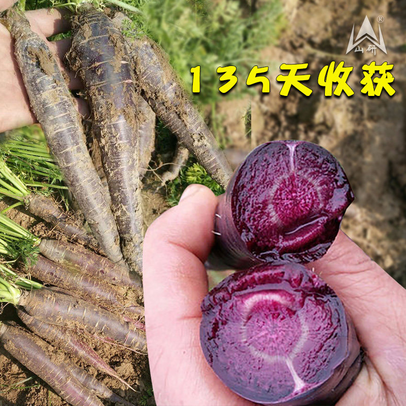 种子人参价格 种子人参图片 星期三