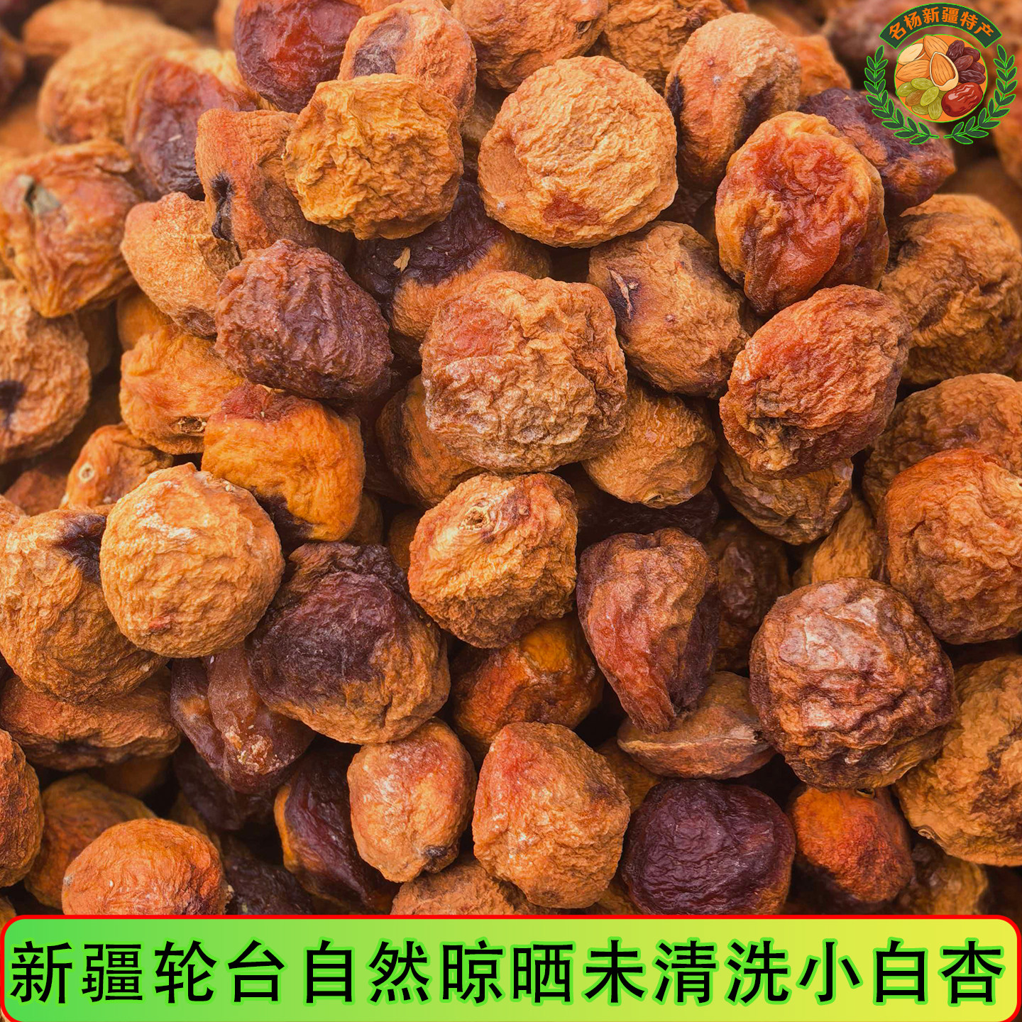 新疆轮台阳霞树上小白杏干肉厚图片