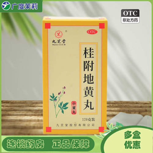 【九芝堂】桂附地黄丸120g*1瓶/盒包邮】温补肾阳肾阳不足