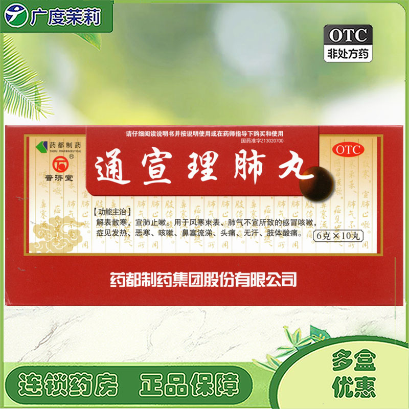 普济堂 通宣理肺丸 6g*10丸*1板/盒 解表散寒宣肺止嗽感冒咳嗽GD