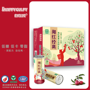一品农夫 海红果 海红经典礼盒原味海红果汁 山西特产 310ml*20罐