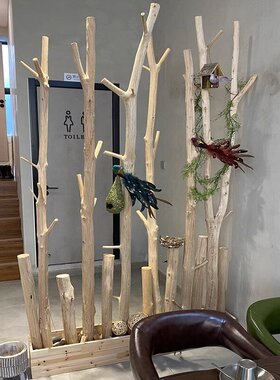 干树枝装饰天然枯木原木树干客厅玄关干枝隔断茶室幼儿园装饰架
