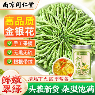 同仁堂金银花茶平邑特级中药材搭菊花甘草牛蒡根蒲公英正品泡水喝