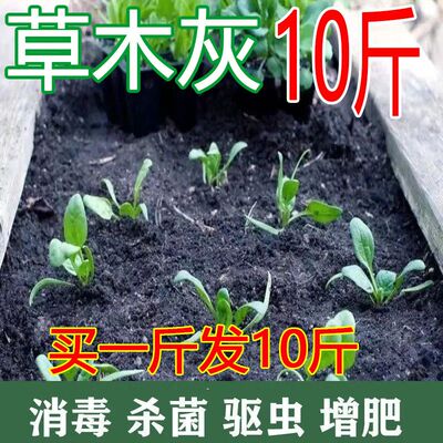 农家草木灰黑色营养价值更高