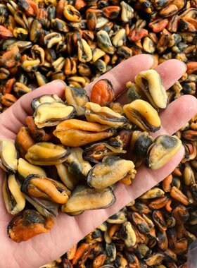 湛江特产精选淡菜干干货500g海虹肉干贻贝青口肉海鲜干货煲汤煲粥