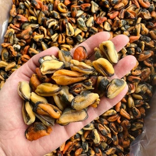 湛江特产精选淡菜干干货500g海虹肉干贻贝青口肉海鲜干货煲汤煲粥