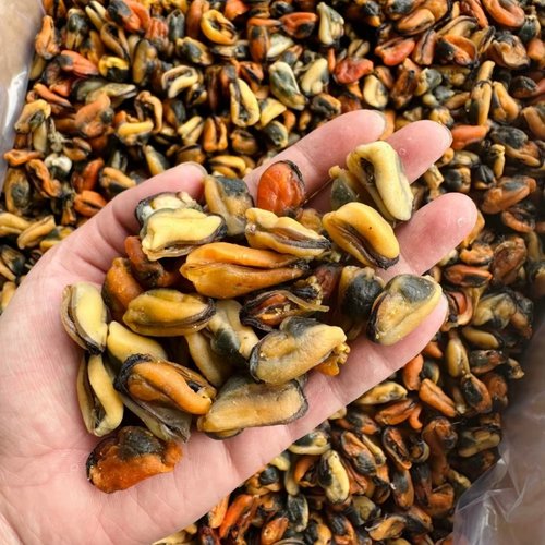 湛江特产精选淡菜干干货500g海虹肉干贻贝青口肉海鲜干货煲汤煲粥