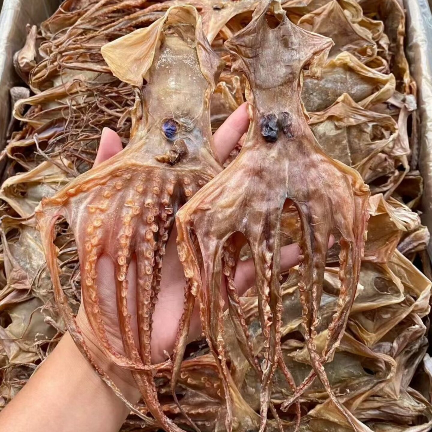 湛江特产足干生晒穿竹章鱼干海味干货大吊晒八爪鱼干淡晒吊章煲汤