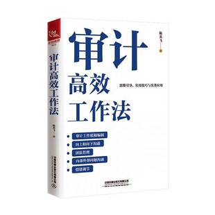 审计工作法陈英飞中国铁道出版社9787113315993 经济书籍