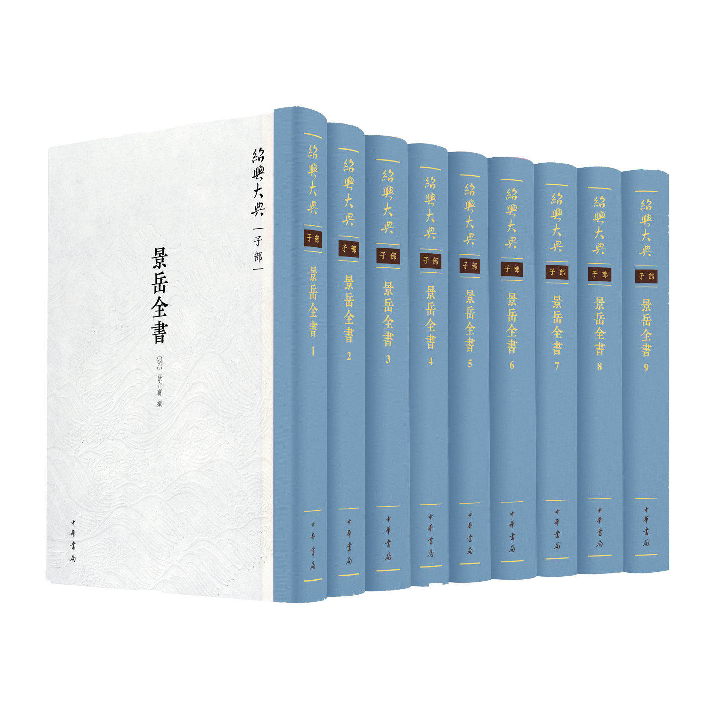 景岳全书 绍兴大典子部 张介宾撰 中华书局