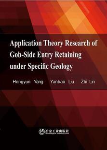 特定地质条件沿空留巷应用理论研究(英文版)杨红运刘延保林志普通大众煤矿开采沿空巷道研究英文工业技术书籍
