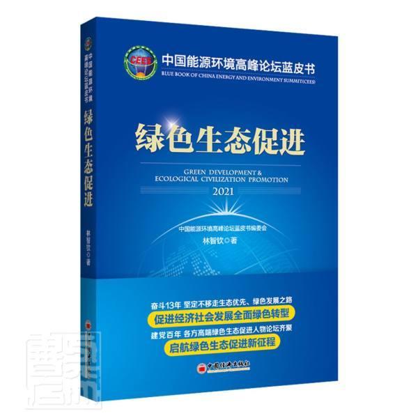 绿色生态促进(2021)/中国能源环境高峰论坛蓝皮书林智钦普通大众绿色经济研究报告中国经济书籍