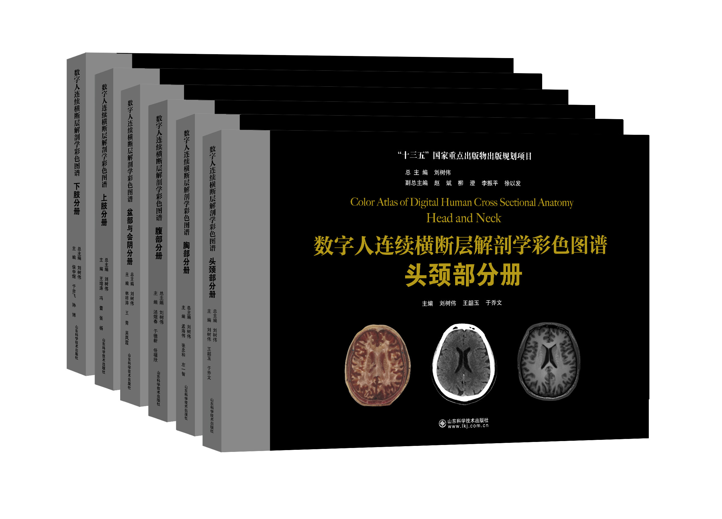 正版包邮 共6册数字人连续横断层解剖学彩色图谱-上下肢+腹部+盆部与会阴+胸部+头颈部分册 山东科学技术出版社