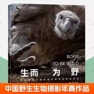 生而为野 中国野生生物摄影年赛摄影作品精选 动物植物摄影集 中国国家地理图书 219幅摄影佳作自然艺术摄影画册