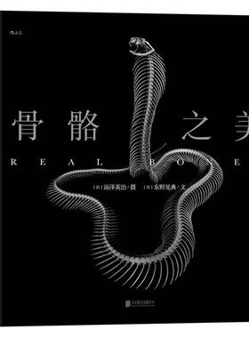 骨骼之美汤泽英治普通大众摄影集日本现代骨骼摄影集自然科学书籍
