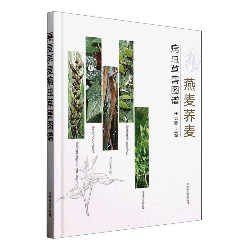 燕麦荞麦病虫草害图谱任长忠中国农业出版社9787109329140 农业、林业书籍