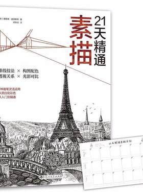 21天精通素描德·波克斯等  艺术书籍