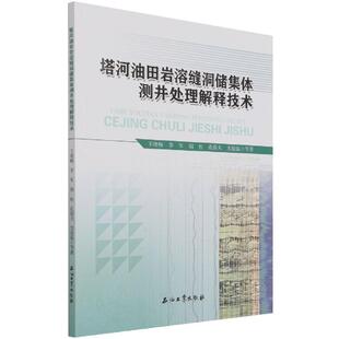 塔河油田岩溶缝洞储集体测井处理解释技术王晓畅石油勘探开发工作者塔里木盆地碳酸盐岩油气藏储集层工业技术书籍