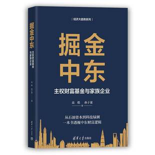 掘金中东:主权财富基金与家族企业高皓清华大学出版社9787302694502 图书书籍