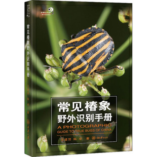 建赟 常见椿象野外识别手册 蝽类昆虫介绍收录450种蝽类昆虫特征描述照片按图索骥主要参考文献好奇心书系自然科普书籍 现货