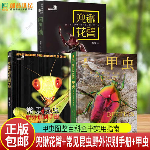 任选甲虫 兜锹花臂世界200种观赏甲虫 甲虫图鉴百科全书标本活体图纸上甲虫博物馆好奇心书系独角仙金龟甲虫宠物爱好者实用指南书