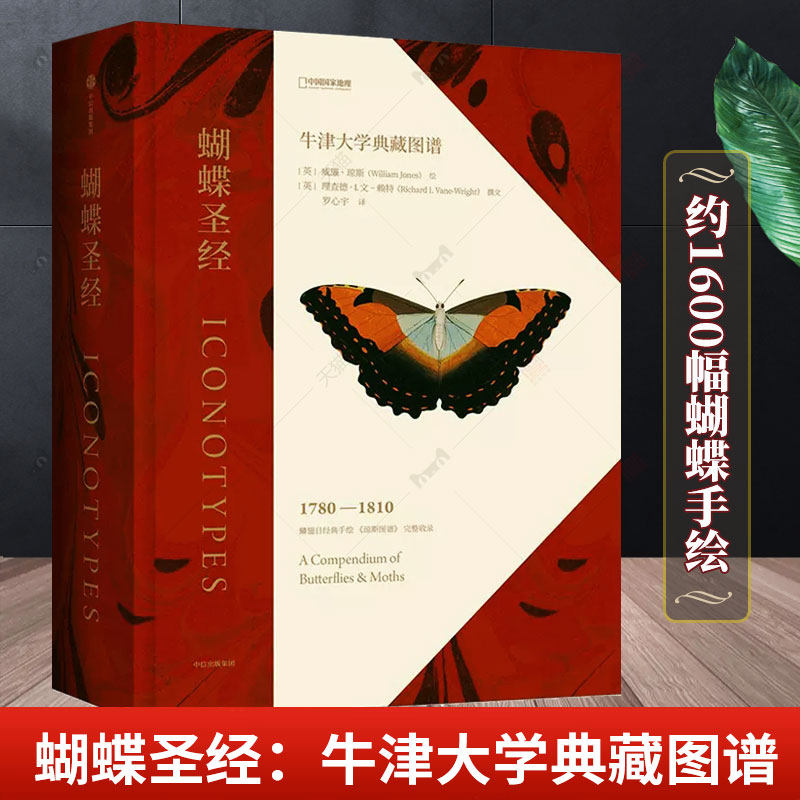 蝴蝶圣经 牛津大学典藏图谱 理查德文赖特等著 牛津大学自然史博物馆典藏图谱 涵盖1600幅画作856个物种 中信正版
