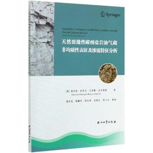 天然裂缝碳酸盐岩油气藏非均质表征及渗流特征分析纳尔逊·恩里克·巴罗斯·加尔维普通大众碳酸盐岩油气藏地质模型工业技术书籍