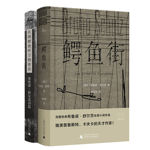 正版包邮 广西本社 布鲁诺舒尔茨作品2册  鳄鱼街+在阁楼独听万物密语：布鲁诺·舒尔茨诗篇  广西师范大学出版社