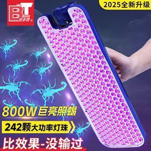 正品新款包邮波来特242颗灯珠紫光蝎子灯专用强光超亮充电蝎子灯