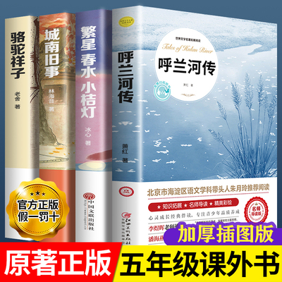 呼兰河传小学生版五年级 萧红著正版书籍 城南旧事骆驼祥子繁星春水青少年经典获奖文学名著五年级下册课外书阅读呼兰河传全套正版