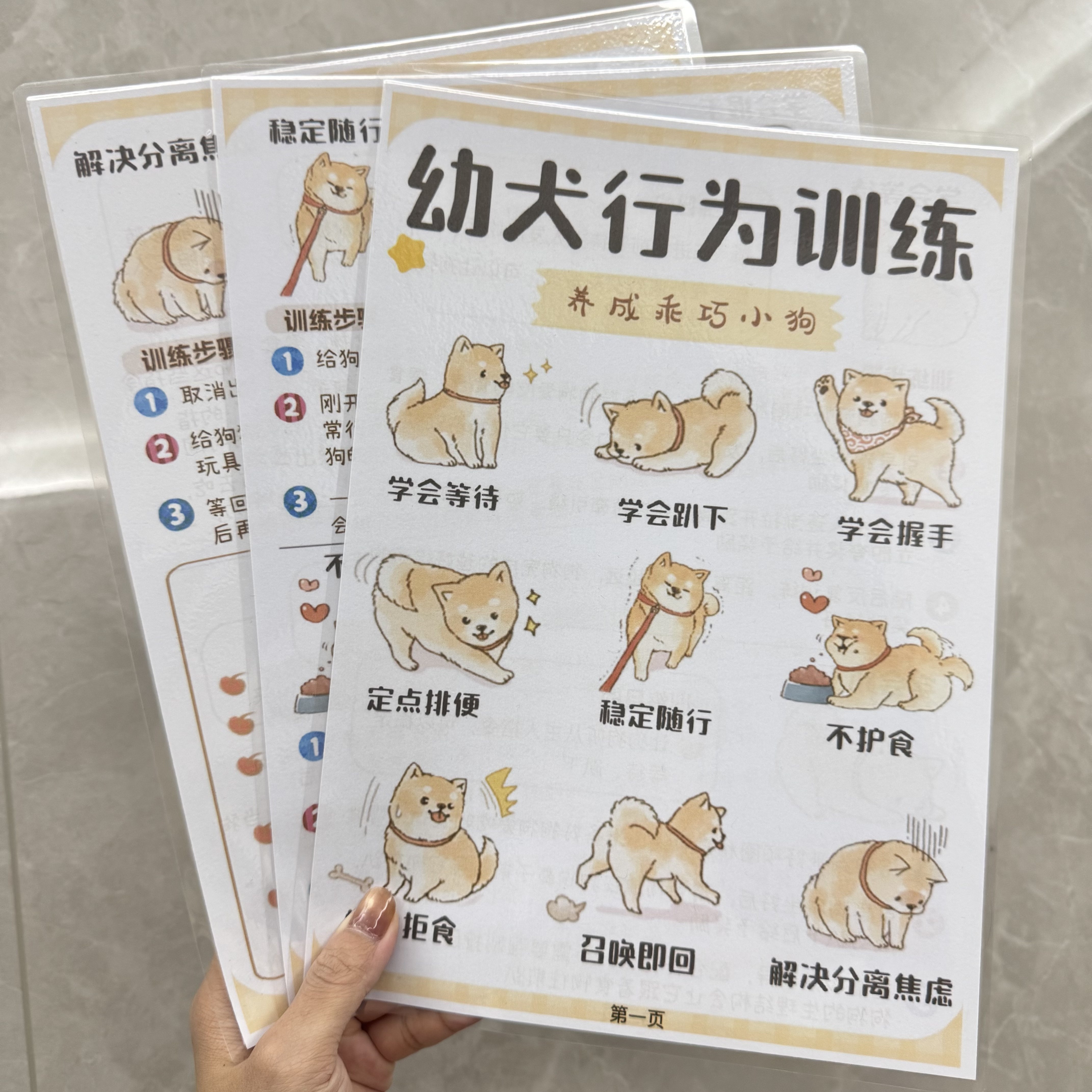幼犬行为训练养成乖巧小狗定点排便养狗训狗入门教学防水塑封卡