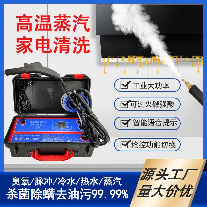 厂家直销蒸汽清洗机商用油烟蒸汽清洗机